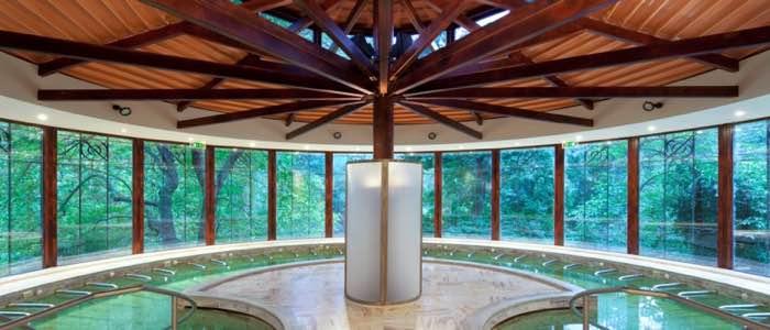 Bassin circulaire intérieur avec vue panoramique sur la forêt, charpente en bois rayonnante et pilier central lumineux.