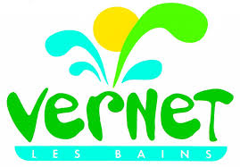 vernet-logo